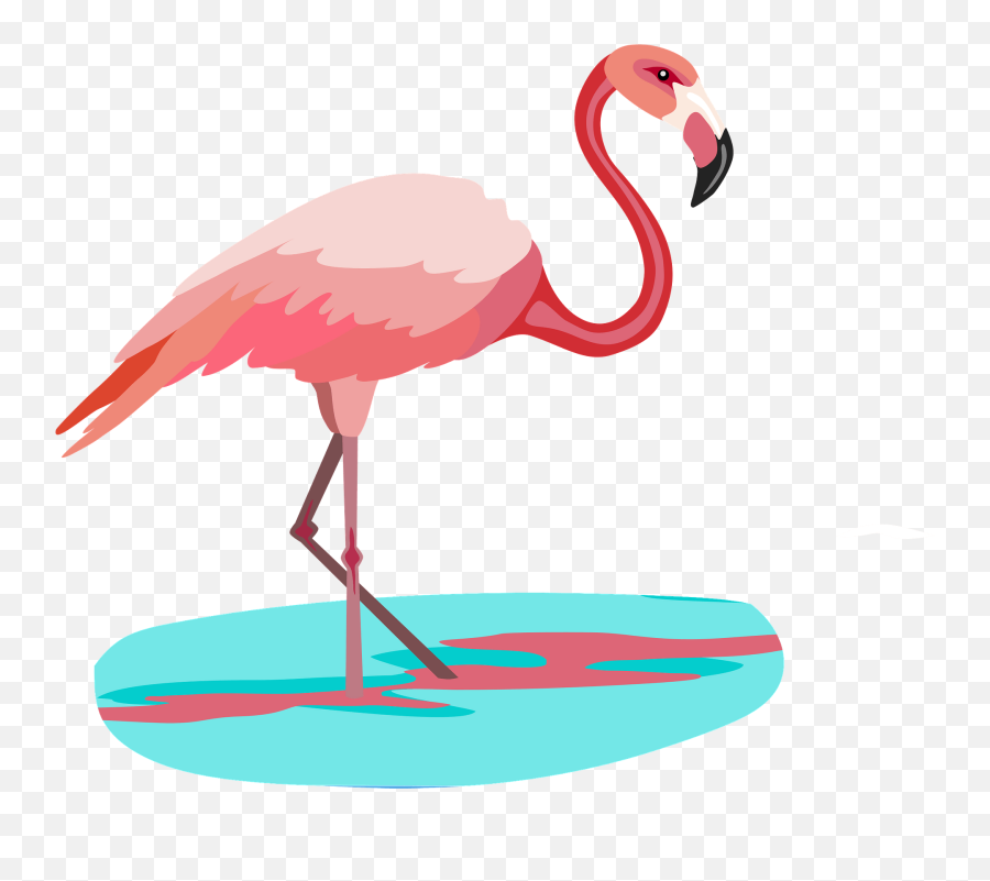 Flamingo Clipart Free Download Transparent Png Creazilla - Greater Flamingo,Flamingo Clipart Png