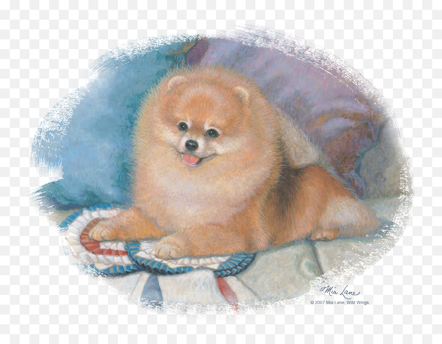 Pomeranian Portrait Youth T Shirt - Northern Breed Group Png,Pomeranian Png