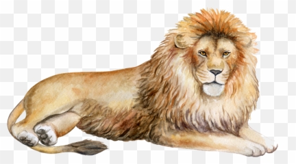 Masai Lion Transparent Png Image - Clipart