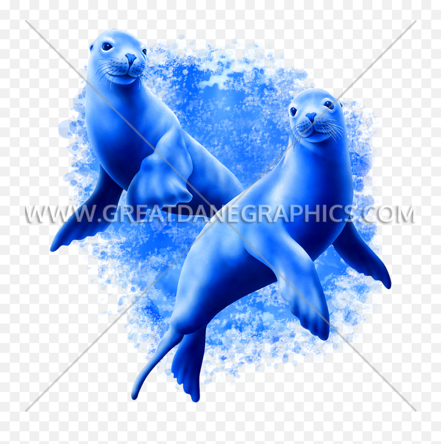 Sea Lions Swimming Production Ready Artwork For T - Shirt Fin Png,Sea Lion Png