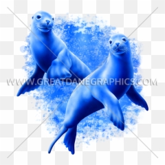 Sea Lions Swimming Production Ready Artwork For T - Shirt Fin Png,Sea Lion Png