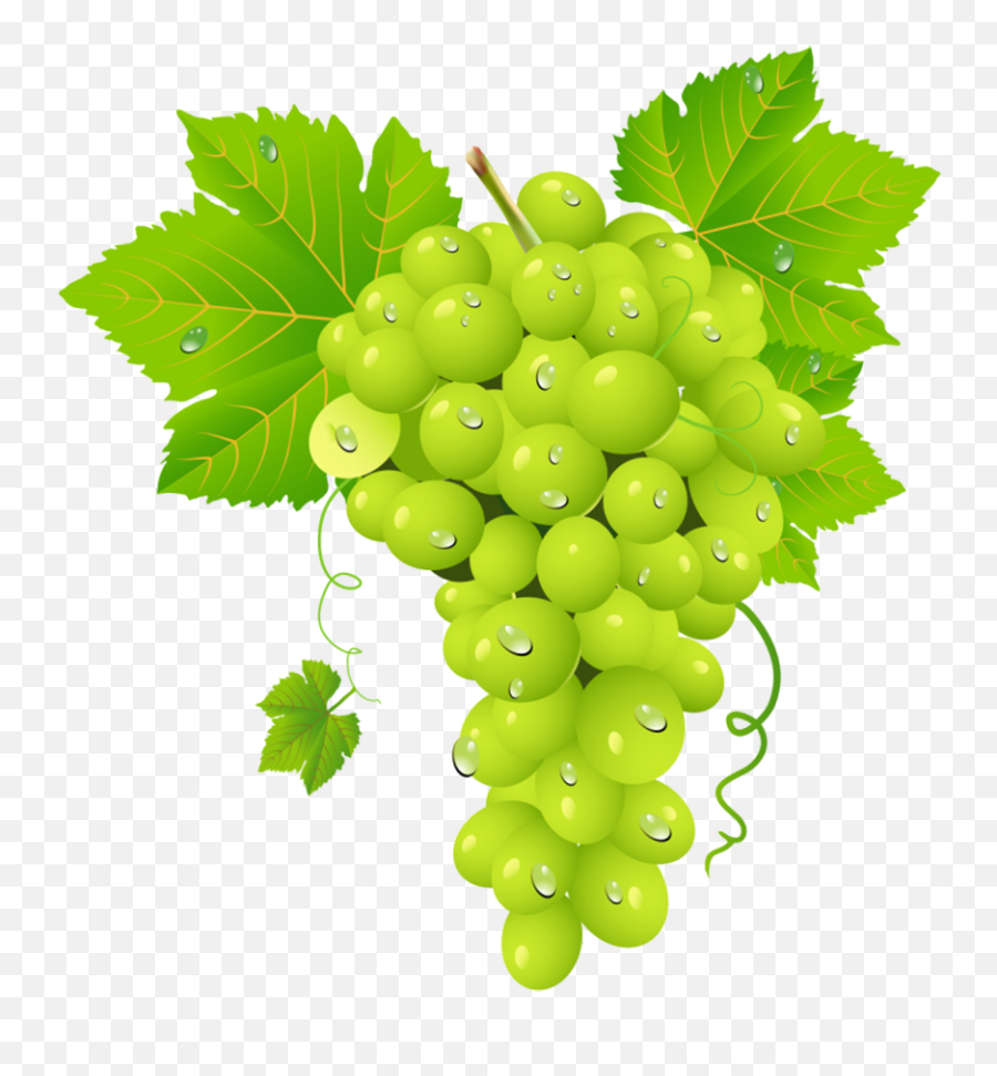 Grapes - Grappe De Raisin Blanc Png,Fruits Png