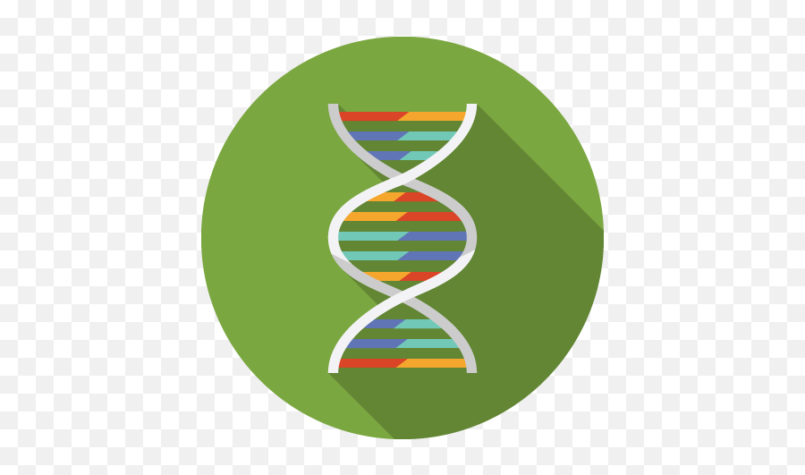 Getting Started A Template Guide - Vertical Png,Dna Colorful Icon