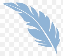 Shop All - My Little Flock Arkansas Png,Continue Shopping Icon