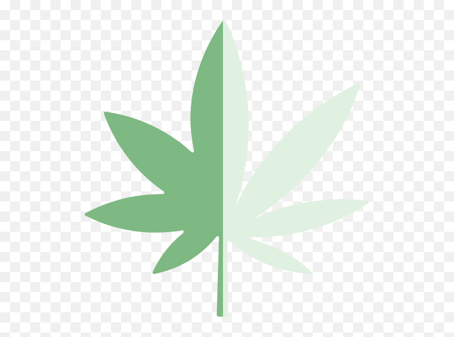 Cannabis Sativa U0026 Indica Strains Natureu0027s Remedy - Language Png,Marijuana Plant Icon