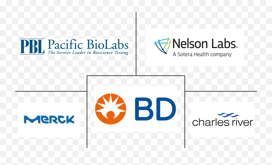 Bioburden Testing Market Size Trends Analysis 2022 - 27 Vertical Png,Icon For Hire Chain Reaction