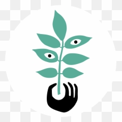 Changing Treescapes U2013 Emily Warner - Language Png,Change Jar Icon