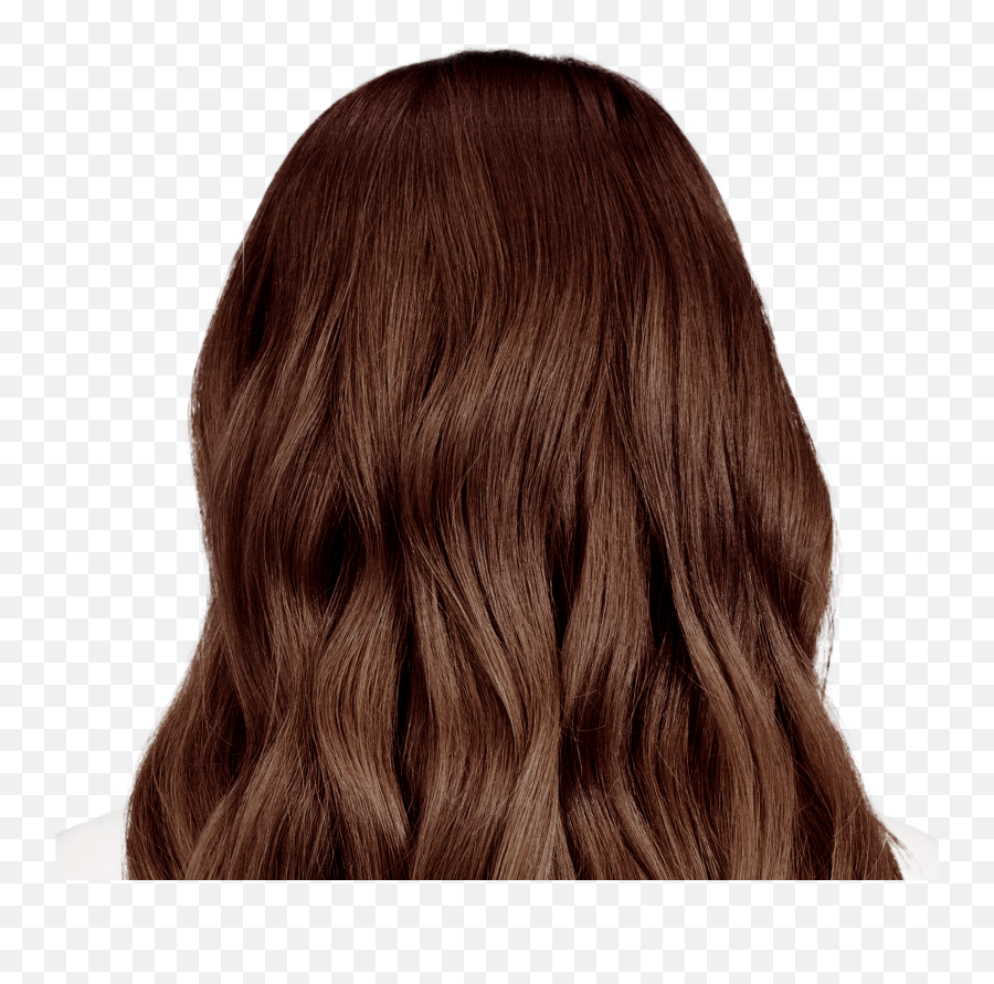 Light Brown For Resistant Grays - Mahogany Golden Light Brown Png,Icon Salon Newton