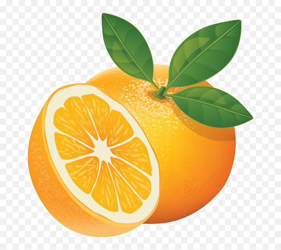 Download Orange Slice Png High - Quality Image New 2016 Illustrator Orange Vector Png,Orange Slice Png