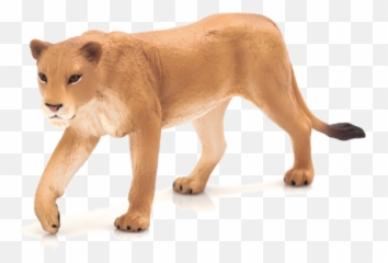 lioness png
