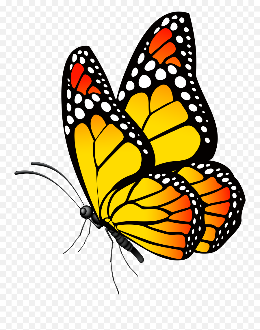 Monarch Butterfly Clipart Png