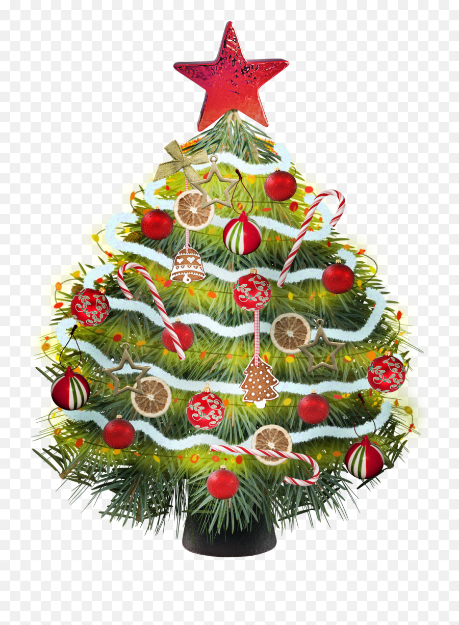 Download Hd Christmas Tree Clipart Colorful - Traditional Png,Christmas Tree Clipart Transparent