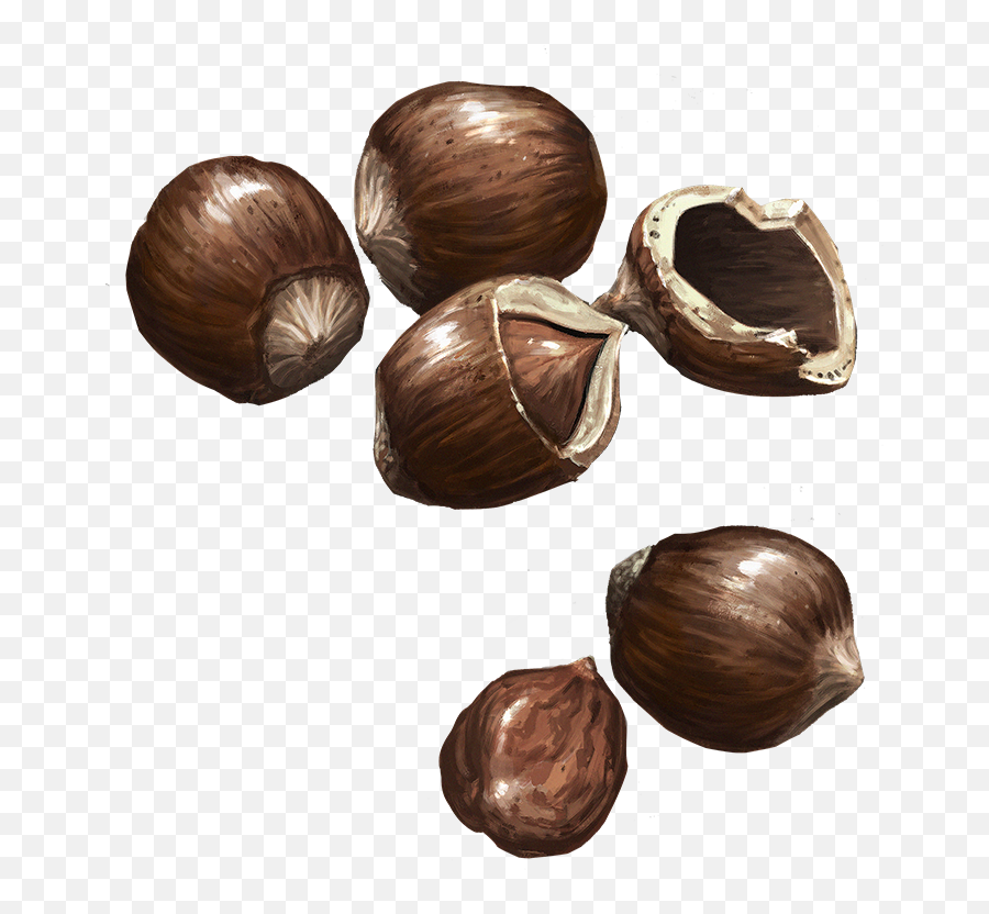 Hazelnuts - Chocolate Png,Hazelnut Png