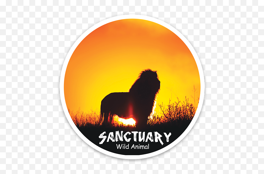 Sanctuary Round Lion Magnet Wildanimalsanctuary - Dota Hero Png,Lion Silhouette Png