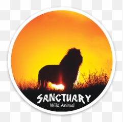 Sanctuary Round Lion Magnet Wildanimalsanctuary - Dota Hero png