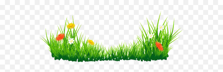 Transparent Png Images Icons And Clip Arts - Grass Png Hd,Tall Grass Png