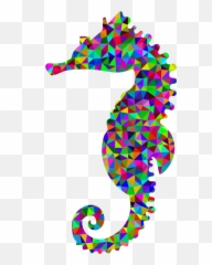 Pinksyngnathiformesseahorse Png Clipart - Royalty Free SVG Portable Network Graphics