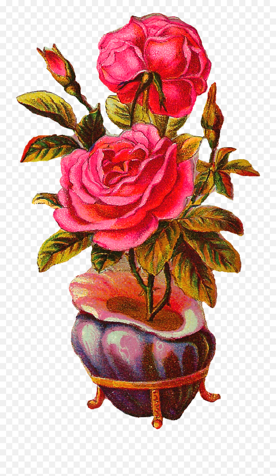 Victorian Clipart Vase - Transparent Vintage Botanical Png Roses In Vase Png,Botanical Png