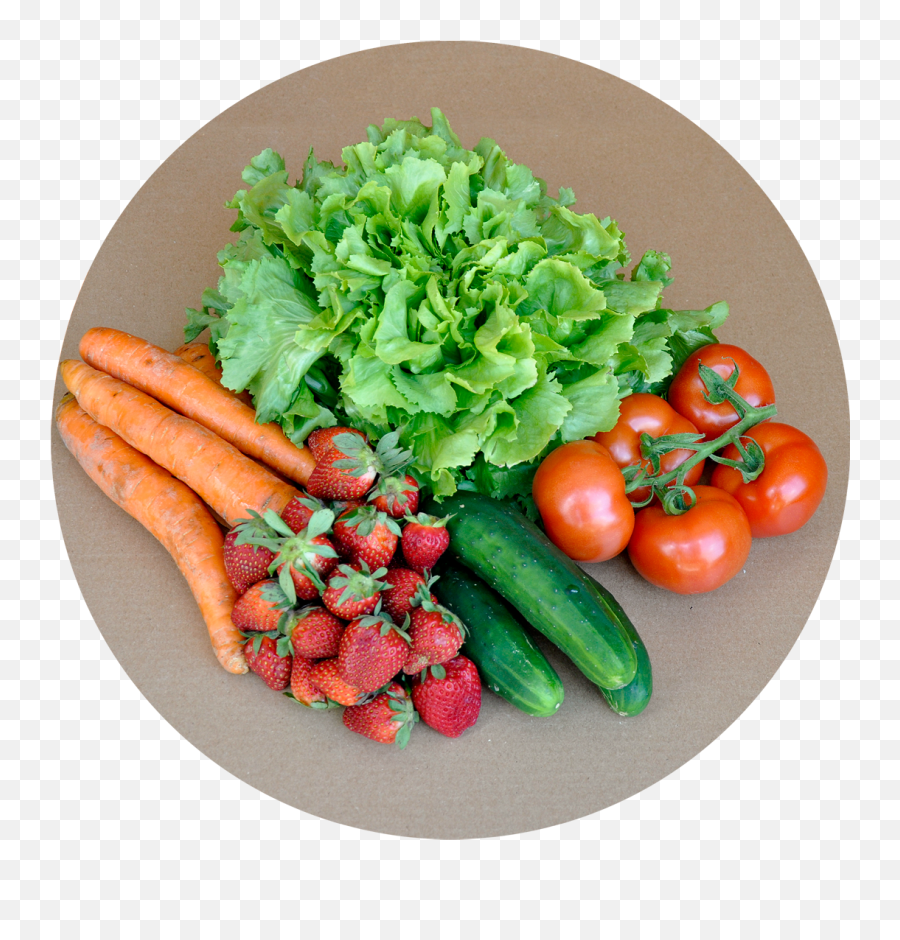 Seasonal Roots - Online Farmers Market Farmers Market Fruits And Vegetables Top View Png,Veggie Png