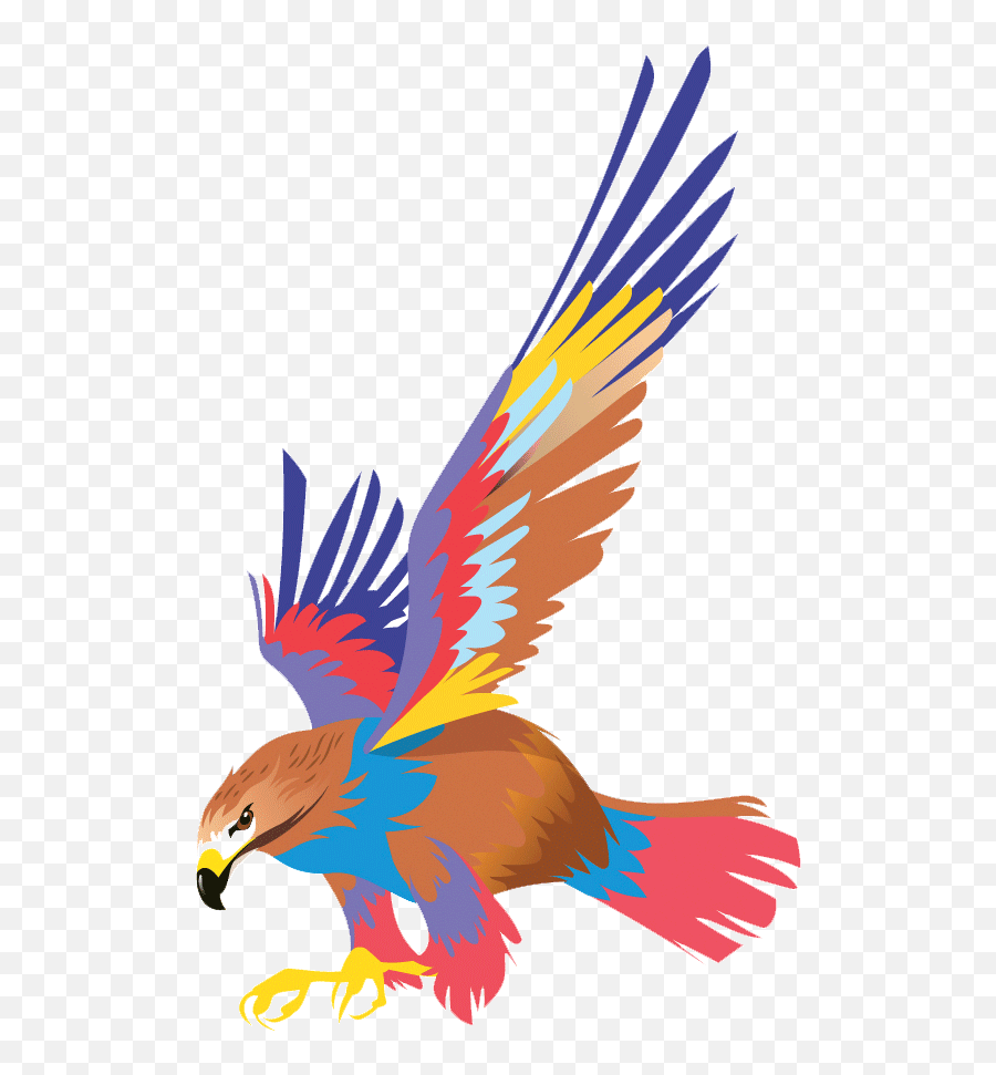 Steemjet Bird Steemit - Falcon Png,Birds Flying Transparent