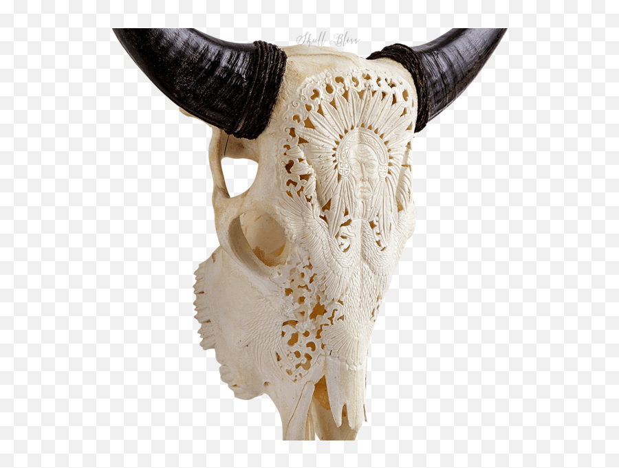Download Carved Cow Skull Xl Horns - Horn Full Size Png Skull,Cow Skull Png