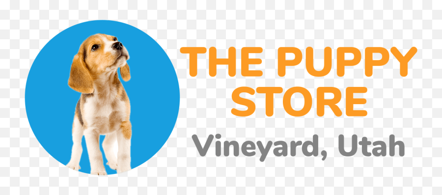 Puppies For Sale Vineyard Utah Puppy Store Adopt - Language Png,Puppies Png