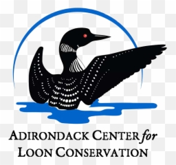 Donate Your Car To Charity Nonprofits - Loon Logo png