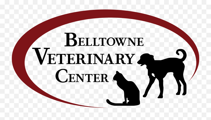 Belltowne Veterinary Veterinarian In Belfair Wa - Silhouette Png,Veterinarian Png