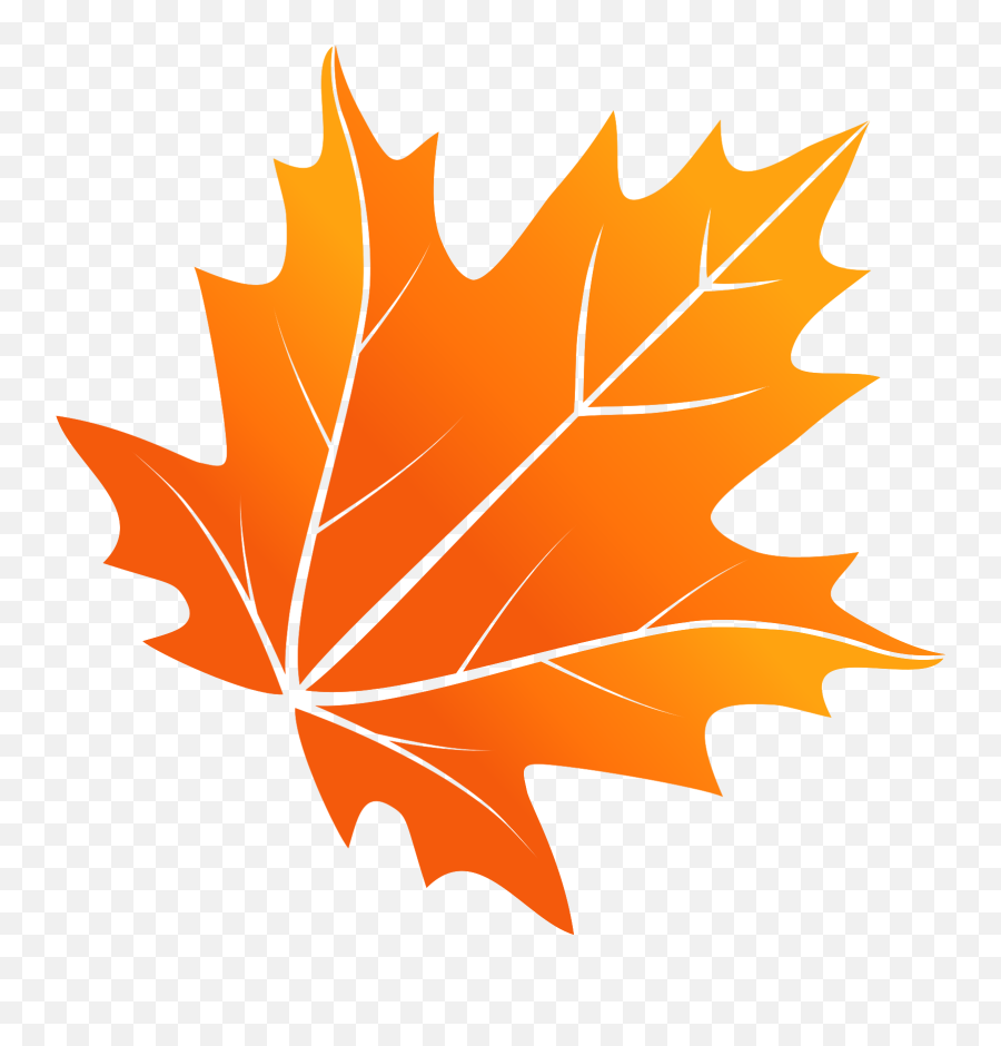 Maple Leaf Png With Transparent Background - Cute Fall Leaves Clip Art,Maple Leaf Transparent Background