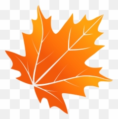 Maple Leaf Png With Transparent Background - Cute Fall Leaves Clip Art