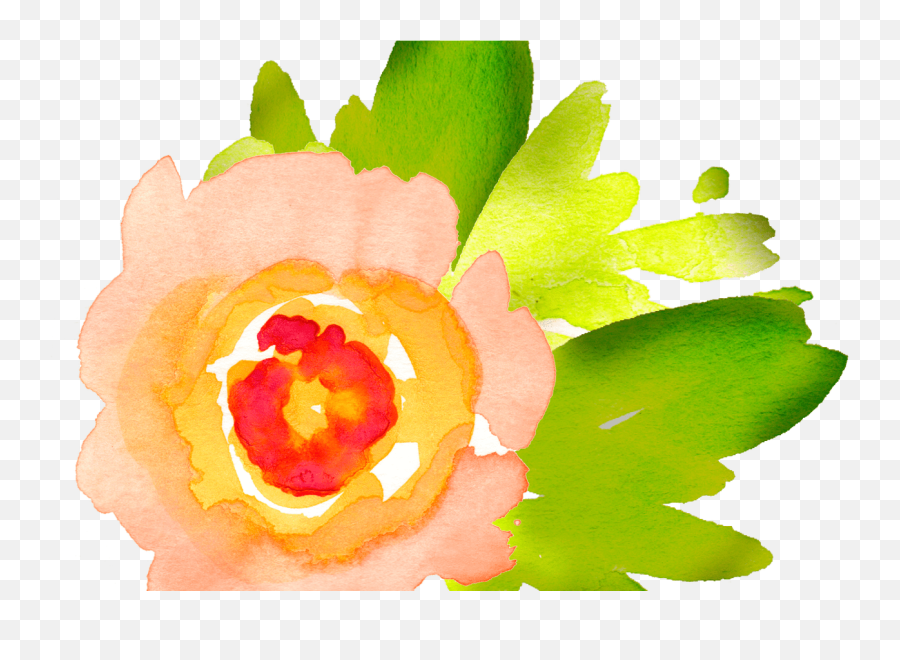 19 Watercolor Flowers Png Library - Free Watercolor Yellow Flower Download,Watercolor Rose Png