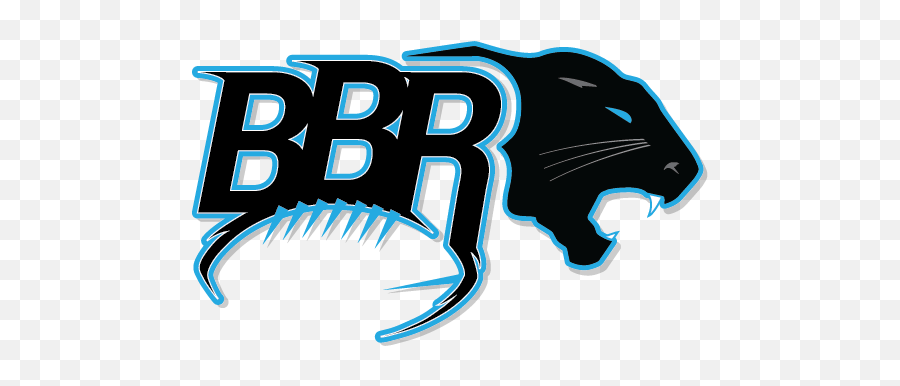 Carolina Panthers Png Logo - Clip Art,Panthers Png
