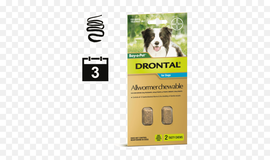 Dog All Wormers - Drontal Allwormer Png,Australian Shepherd Icon