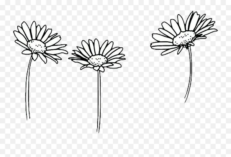 Flower Drawing Tumblr Transparent - Black And White Daisy Png,Tumblr Transparent Png