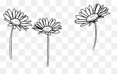 Flower Drawing Tumblr Transparent - Black And White Daisy Png,Tumblr Transparent Png
