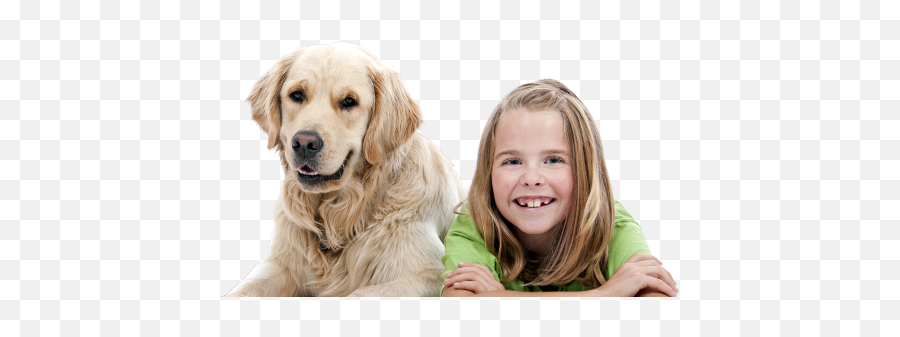 Lone Tree Co Pet Behavior Training - Kind Met Hond Png,Dog Png Transparent