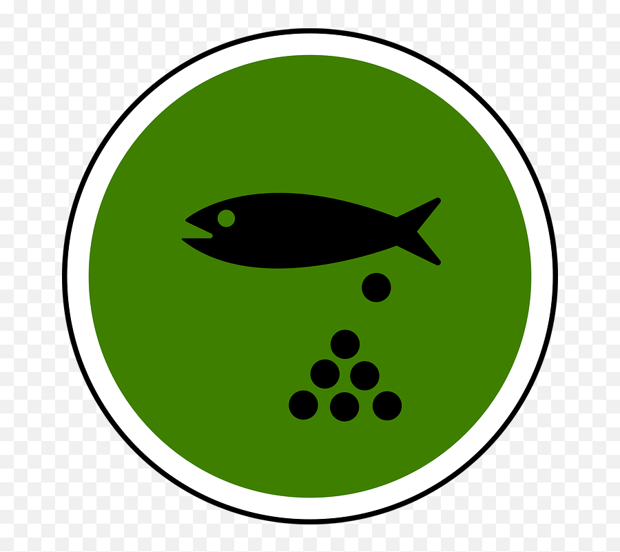 Fish Pond Water - Free Vector Graphic On Pixabay Spawn Png,Pond Png