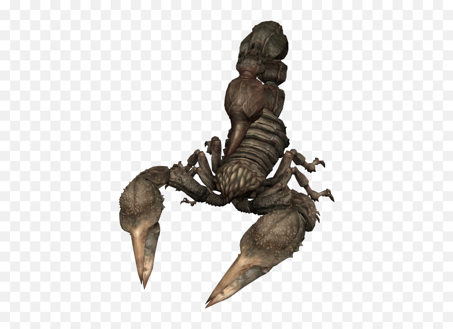 Gamecube - Resident Evil 0 Stinger The Models Resource Resident Evil 0 Scorpion Png,Resident Evil 0 Icon