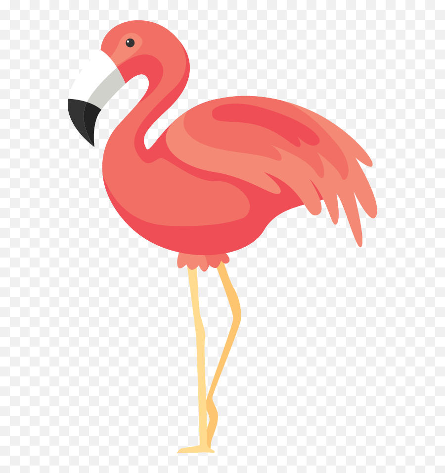 Flamingos Png Download - Png Transparent Flamingo Png,Flamingo Transparent Background