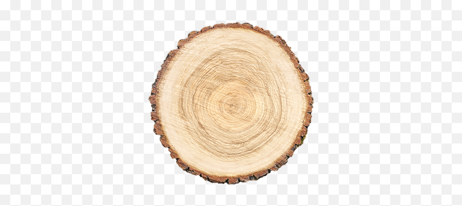 Carpentier Hardwood Solutions - Wood Tcircle Png,Wood Png