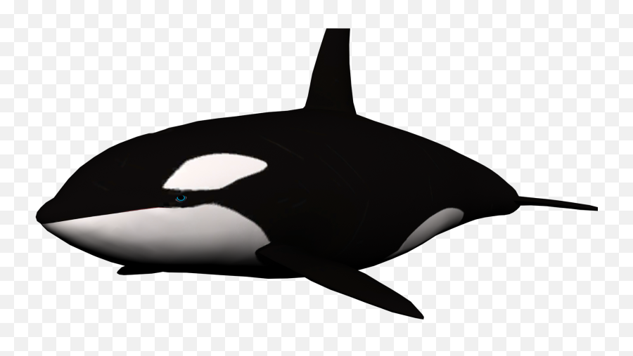 Whale Png Images Free Download - Killer Whale Clipart No Background,Humpback Whale Png