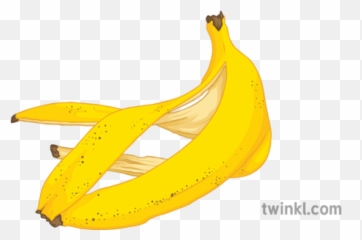 Banana Peel Geography Disposable Waste Food Secondary - png