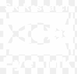 Eyelink Eye Trackers - Graphic Design Png,Sr Logo