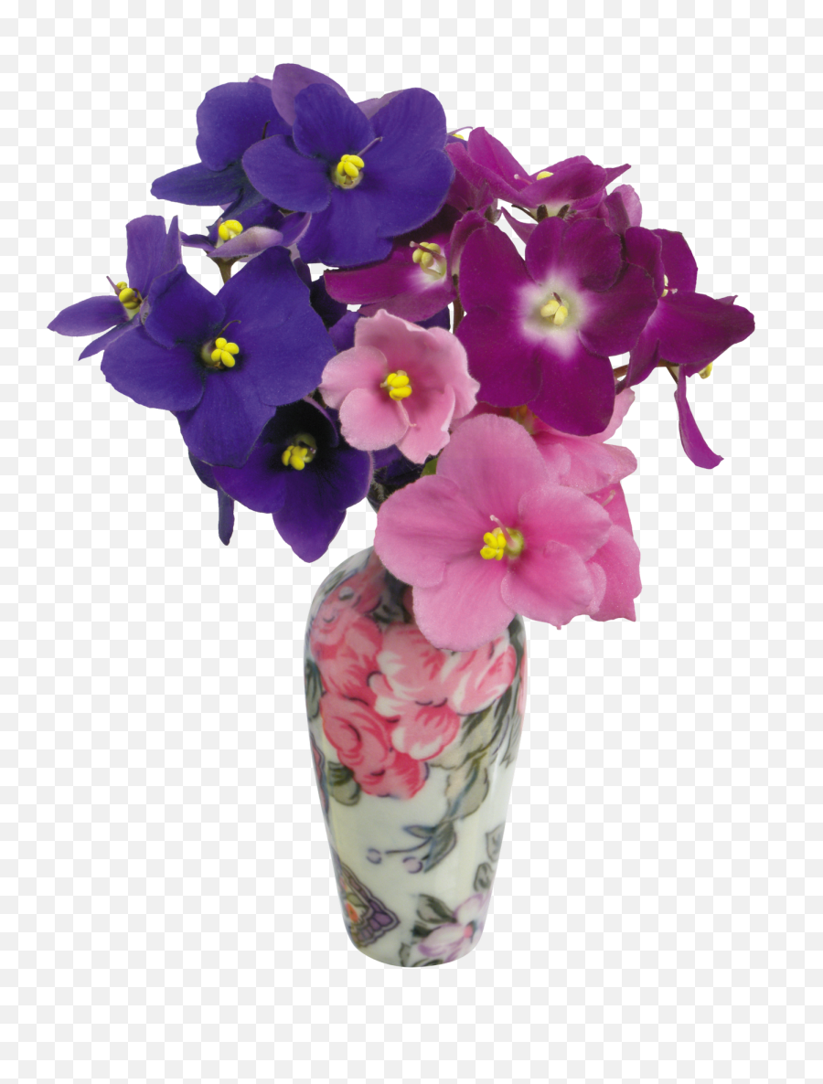 Download Vase Png Image For Free - Flower Color Violet In A Vase,Violets Png