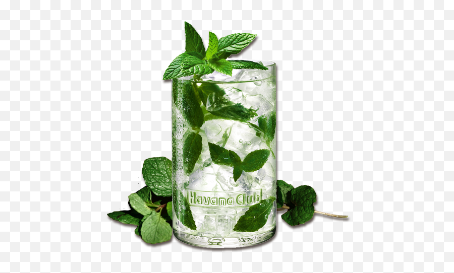 Mojito Backgrounds Selected Type Hd - Havana Club Mojito Kit Png,Mojito Png