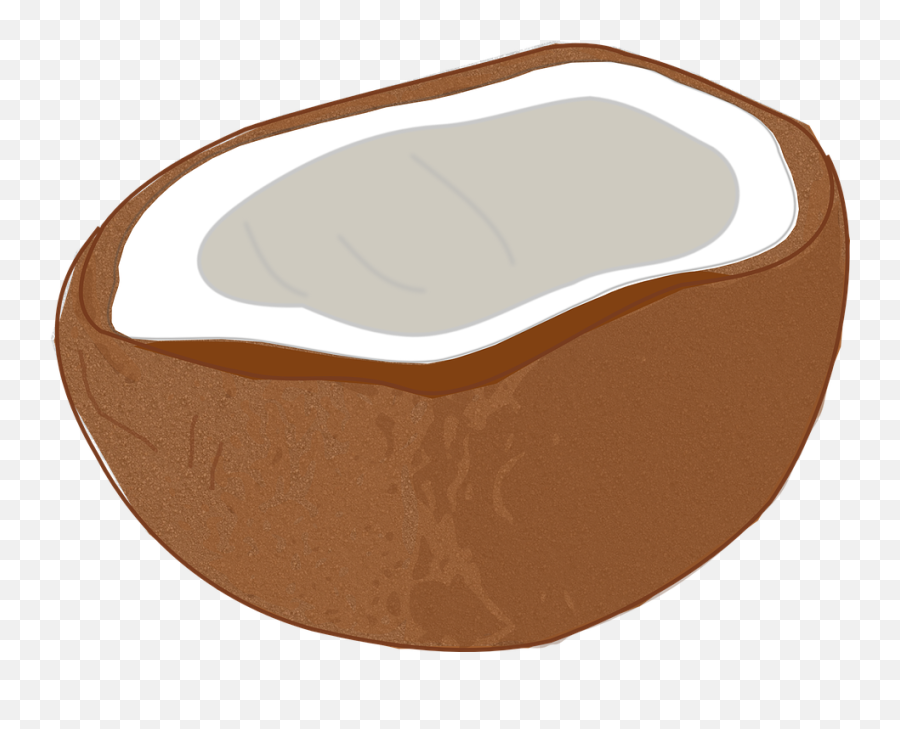 Coconut Coco Tropical - Free Vector Graphic On Pixabay Dessin Noix De Coco Facile Png,Coco Png