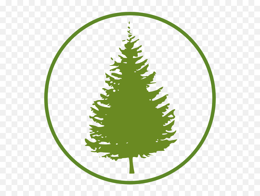 Forestcircle Clip Art - Pine Tree Silhouette Pine Tree Silhouette Clipart Png,Forest Silhouette Png