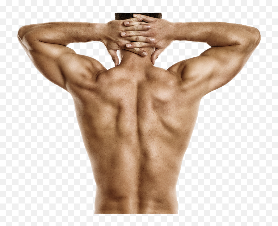 Muscle - Man T Blustar Human Back Png,Muscle Man Png