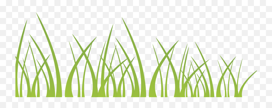 Vector Green Grass Decoration Illustration Background Png - Vertical,Grass Silhouette Transparent