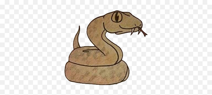 Home Piperspassport - Serpent Png,Cartoon Snake Png